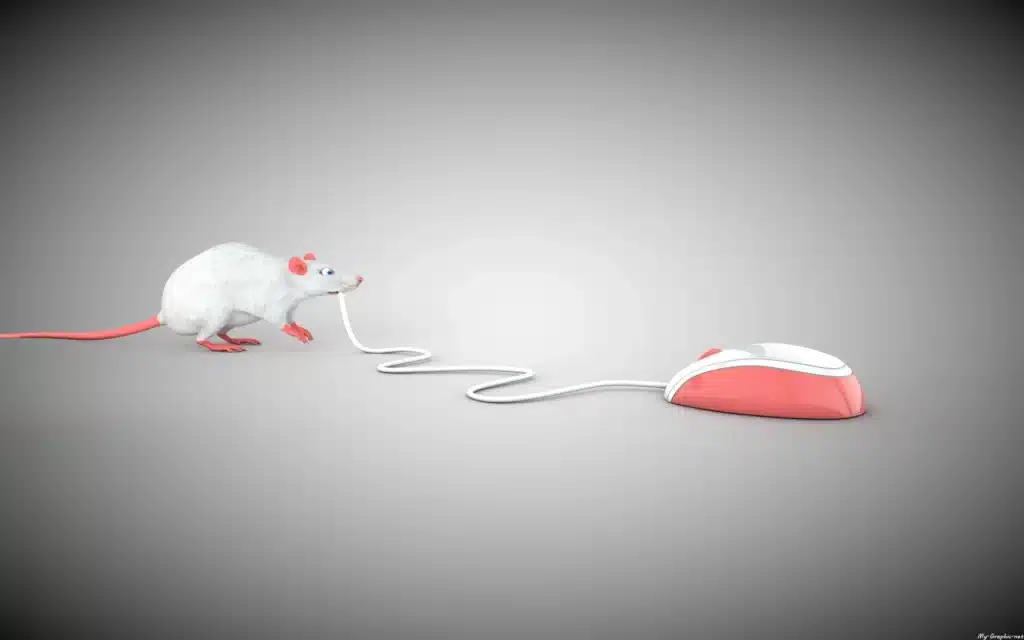 Mouse or Mice: What's the Correct Plural of 'Mouse'?