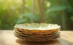 Why Are Palm Leaf Trays the Perfect Choice for Outdoor Parties and Events?
